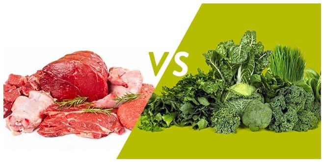 Meat vs. Plants: The Ultimate Dietary Showdown