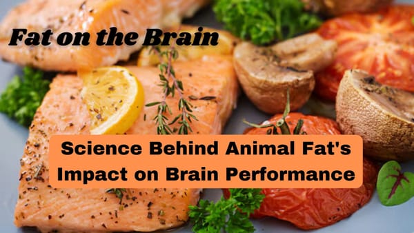 Fat on the Brain: The Science Behind Animal Fat's Impact on Brain Health and Performance