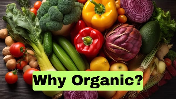 Why Organic? A Step Towards a Healthier Future