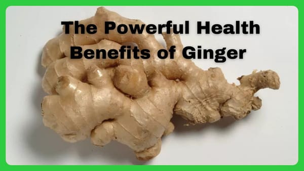 The Powerful Health Benefits of 
                           Ginger